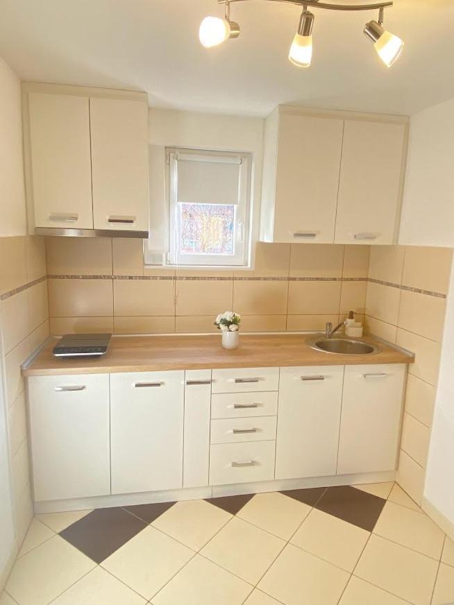 Apartman Mina Mataruska Banja Экстерьер фото