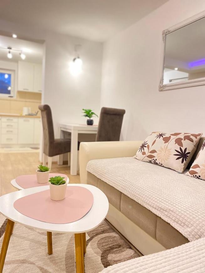 Apartman Mina Mataruska Banja Экстерьер фото
