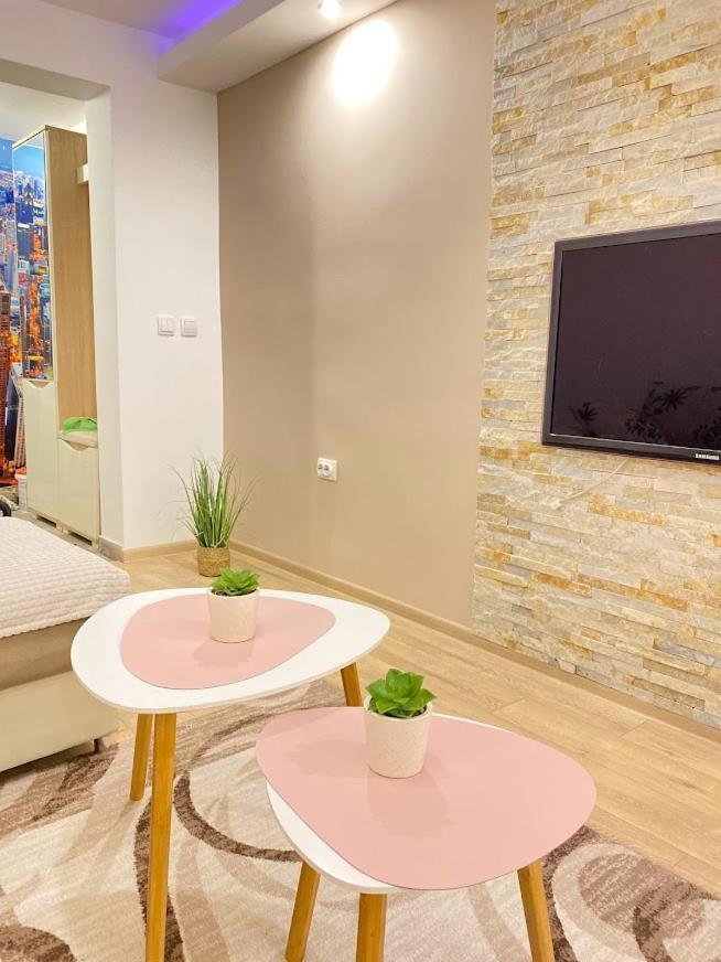 Apartman Mina Mataruska Banja Экстерьер фото