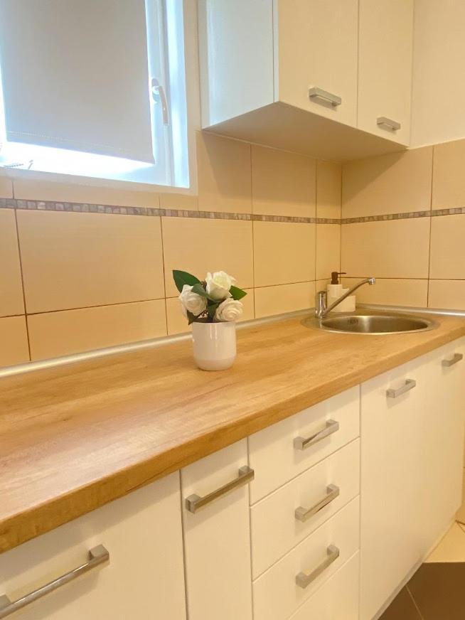 Apartman Mina Mataruska Banja Экстерьер фото