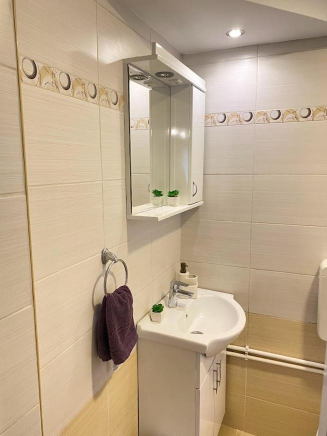 Apartman Mina Mataruska Banja Экстерьер фото