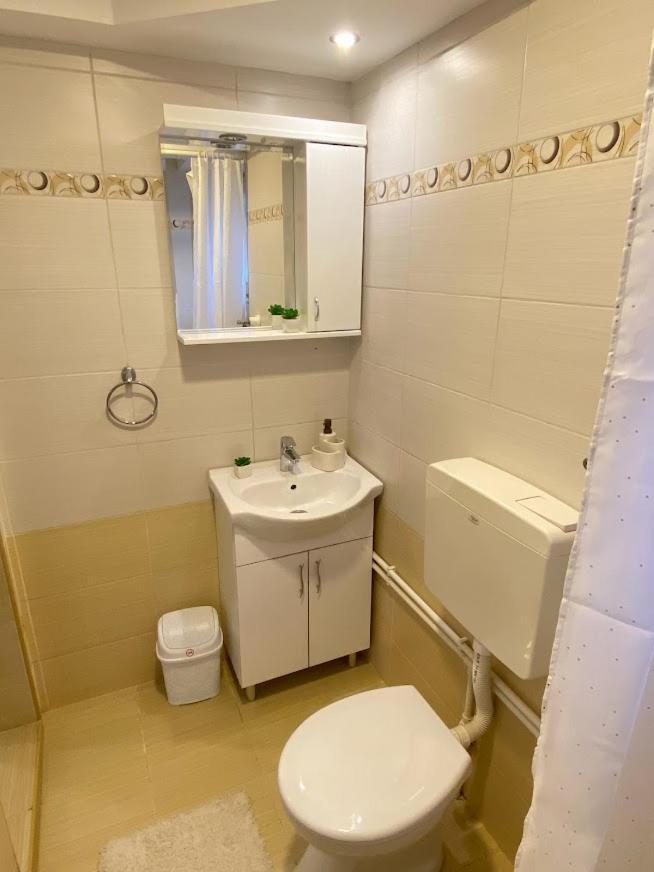 Apartman Mina Mataruska Banja Экстерьер фото