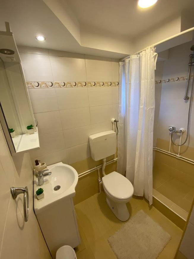 Apartman Mina Mataruska Banja Экстерьер фото
