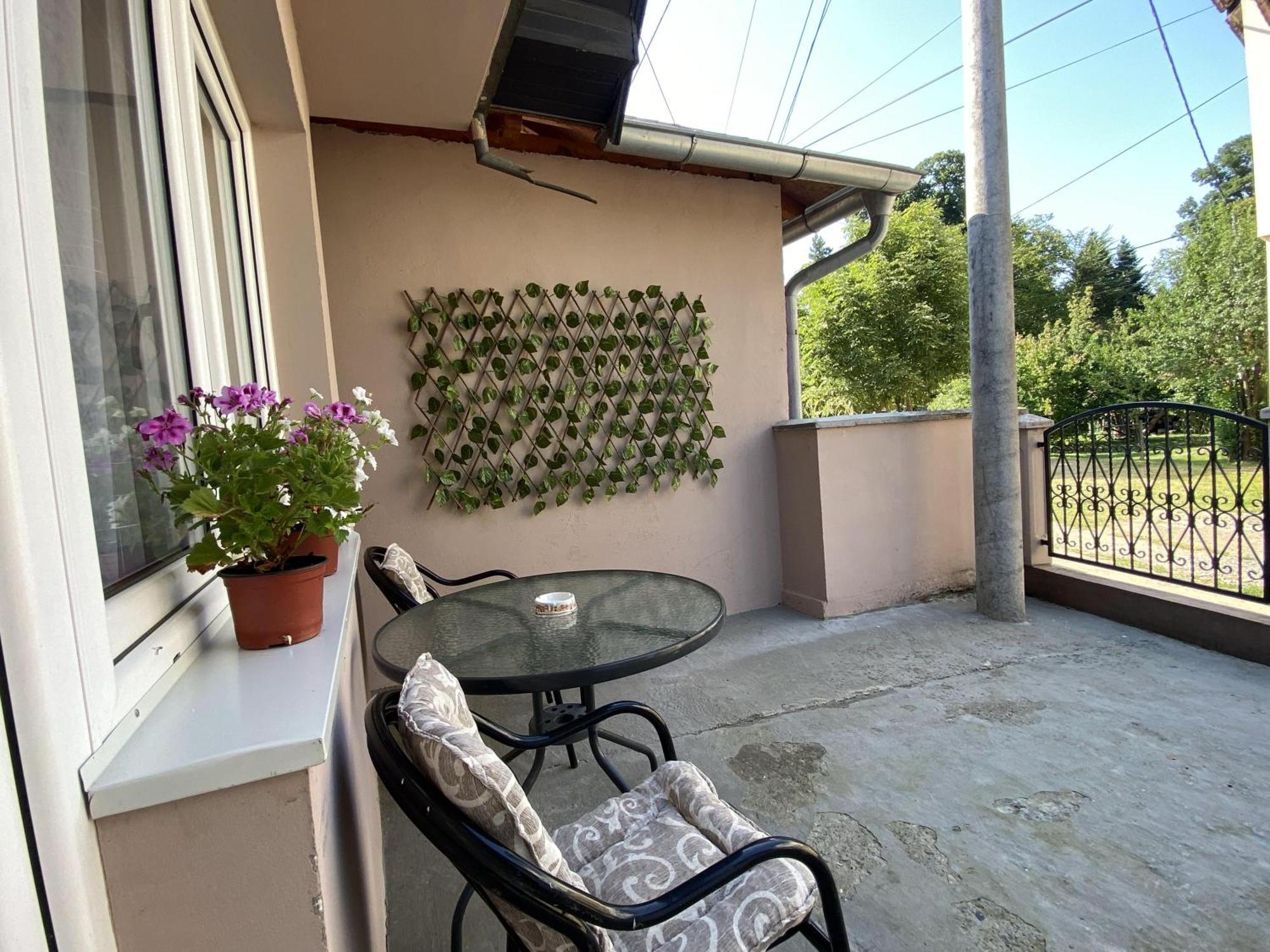 Apartman Mina Mataruska Banja Экстерьер фото